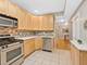 1509 Maple Unit 1, Evanston, IL 60201