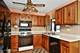 20048 S Rosewood, Frankfort, IL 60423