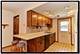 909 Meadow Ridge Unit 2, New Lenox, IL 60451