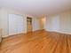 4250 N Marine Unit 715, Chicago, IL 60613