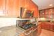 750 William, River Forest, IL 60305