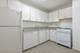 850 N Dewitt Unit 17I, Chicago, IL 60611