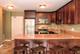 30 E Elm Unit 18C, Chicago, IL 60611