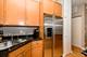 1117 W Monroe Unit 15, Chicago, IL 60607