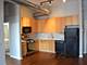 1631 S Michigan Unit 306, Chicago, IL 60616