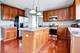 1 Snead, Bolingbrook, IL 60490