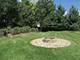 802 Blazing Star, Cary, IL 60013