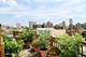 611 W Barry Unit 4W, Chicago, IL 60657