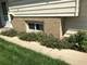 236 55th, Downers Grove, IL 60516