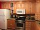 1124 E Cunningham Unit -, Palatine, IL 60074