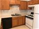 919 S Laflin Unit GARDEN, Chicago, IL 60607