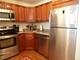 70 W Burton Unit 1604, Chicago, IL 60610