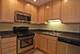 828 W Lill Unit 1F, Chicago, IL 60614