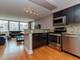 30 E Elm Unit 14A, Chicago, IL 60611