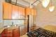 1000 W Washington Unit 309, Chicago, IL 60607