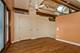 2117 W Homer, Chicago, IL 60647