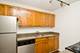 100 W Chestnut Unit 301, Chicago, IL 60610