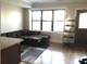 2214 N Seeley Unit 1, Chicago, IL 60614