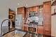 17 Cour Michele, Palos Hills, IL 60465