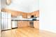 1958 W Chicago Unit 1W, Chicago, IL 60622