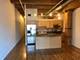 360 W Illinois Unit 325, Chicago, IL 60654