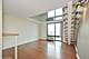 1221 N Dearborn Unit 1411S, Chicago, IL 60610