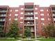 1685 Mill Unit 503, Des Plaines, IL 60016