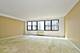 850 N Dewitt Unit 20D, Chicago, IL 60611