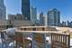 860 N Dewitt Unit 1907, Chicago, IL 60611