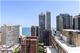 20 E Cedar Unit 10C, Chicago, IL 60611