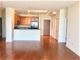 1841 S Calumet Unit 1703, Chicago, IL 60616