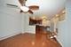 21 E Chestnut Unit 18H, Chicago, IL 60611