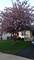 3717 Hennepin, Joliet, IL 60431