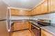 100 Forest Unit 1407, Oak Park, IL 60301