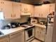 166 W Menomonee Unit A1, Chicago, IL 60614