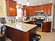 7809 Narragansett, Burbank, IL 60459