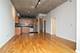 1620 S Michigan Unit 1102, Chicago, IL 60616