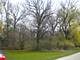 Lot 53 Nottingham, Elburn, IL 60119