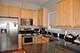 910 W Fletcher Unit 1, Chicago, IL 60657