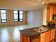 1255 S State Unit 1507, Chicago, IL 60605