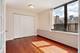 222 E Pearson Unit 1908, Chicago, IL 60611