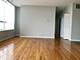 2451 W Howard Unit 203, Chicago, IL 60202