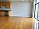 2451 W Howard Unit 203, Chicago, IL 60202