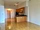 1250 S Indiana Unit 1102, Chicago, IL 60605