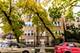 2839 W Palmer Unit G, Chicago, IL 60647