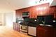 1540 N State Unit 14A, Chicago, IL 60610