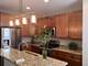 2010 Shermer, Glenview, IL 60026