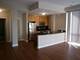 2035 S Indiana Unit 203, Chicago, IL 60616