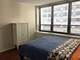 222 E Pearson Unit 1505, Chicago, IL 60611