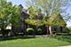 3603 Hector, Naperville, IL 60564